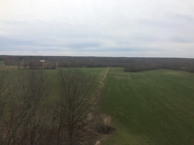 a view of lake with green space