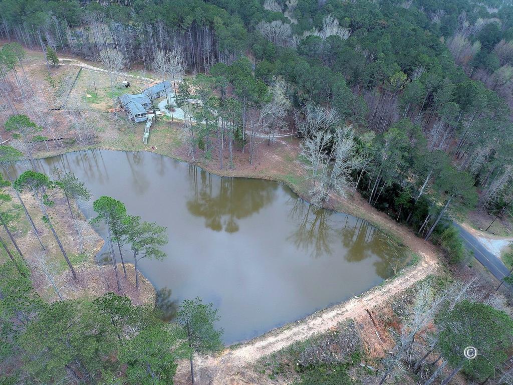1737 Myhand Road Pine Mountain, GA 31822 - Photo 4 of 30 Gallery Image 4