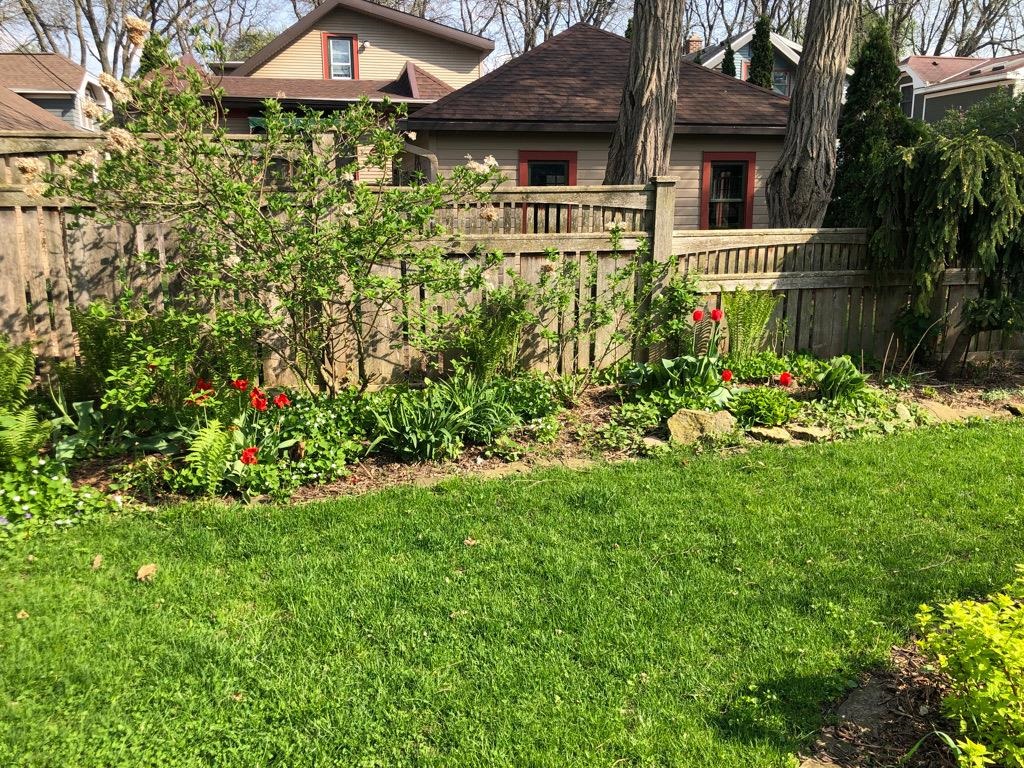 1433 Spaight Street Madison, WI 53703 - Photo 44 of 59