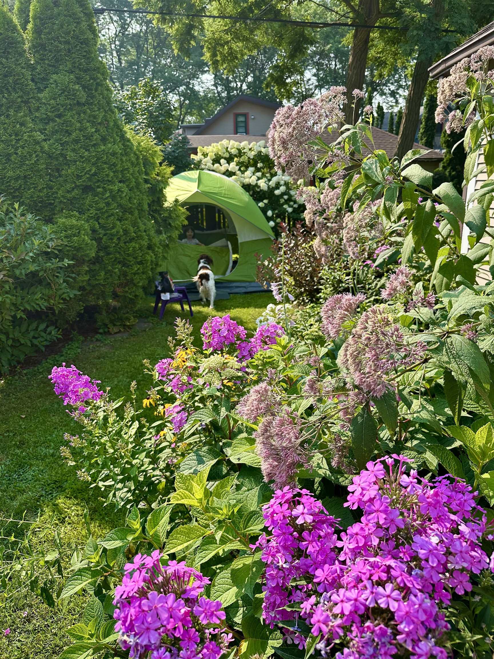 1433 Spaight Street Madison, WI 53703 - Photo 59 of 59