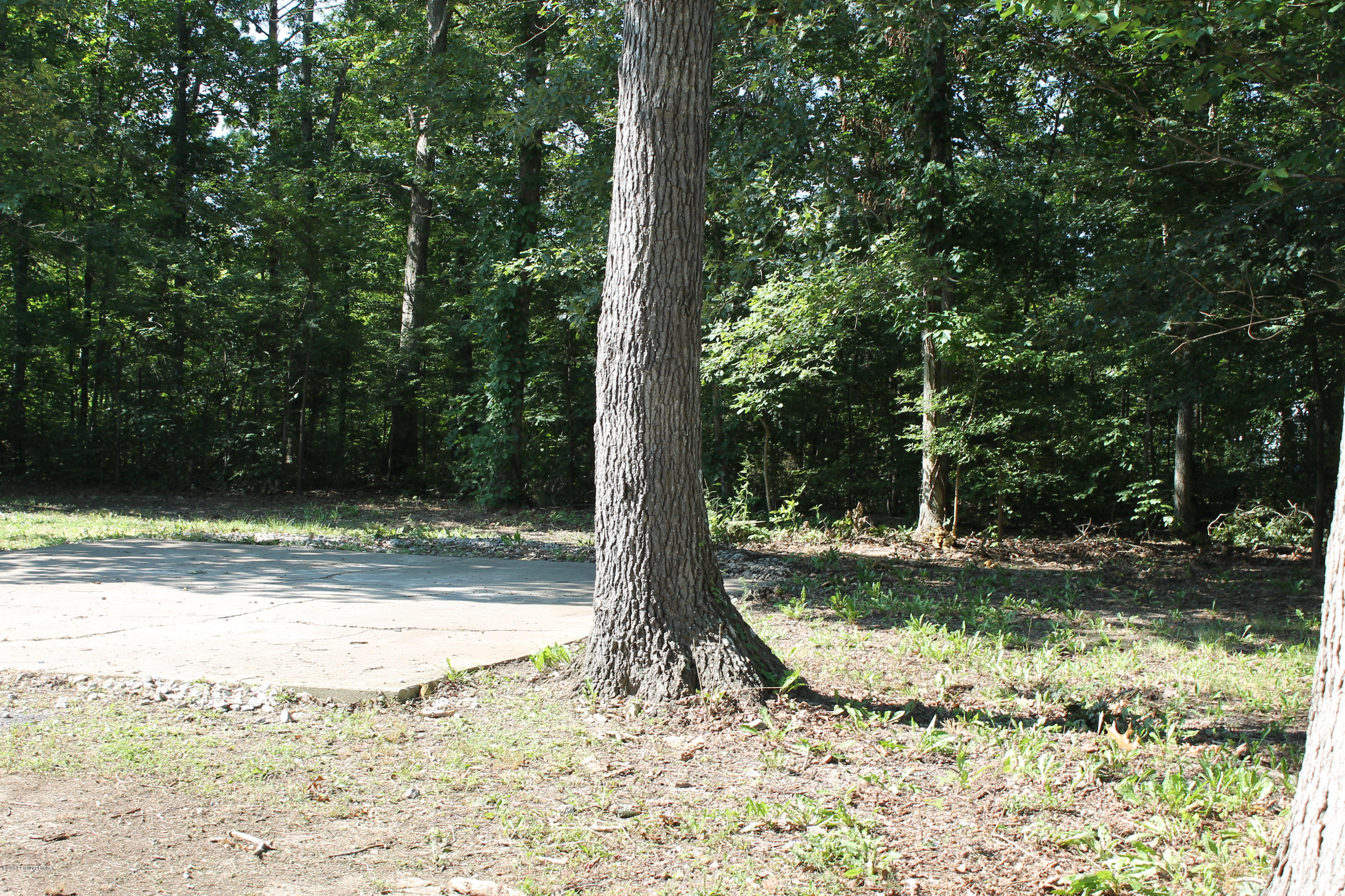 183 Deer Lake Road Shepherdsville, KY 40165 - Photo 6 of 21 Rear2