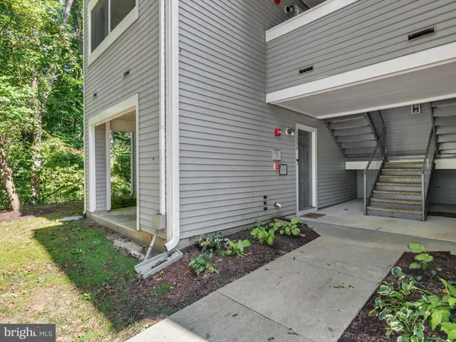 a view of a yard with plants and large tree