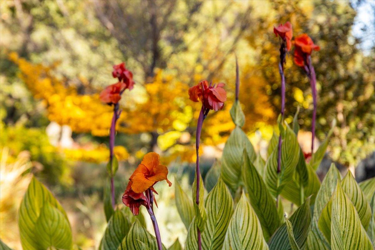 14446 Perimeter Road Grass Valley, CA 95949 - Photo 11 of 71