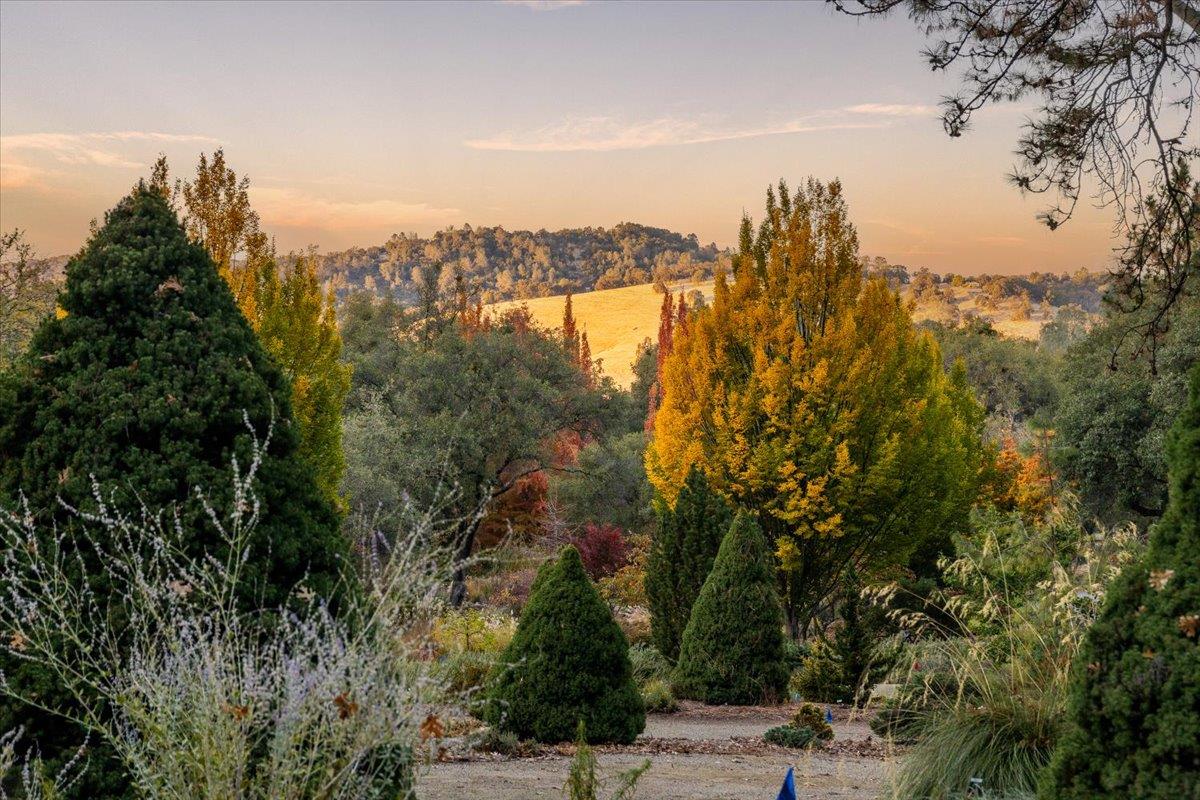 14446 Perimeter Road Grass Valley, CA 95949 - Photo 14 of 71