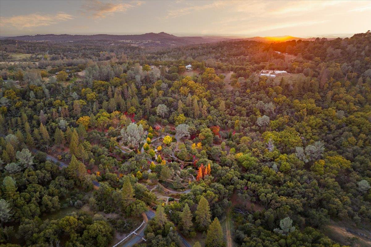 14446 Perimeter Road Grass Valley, CA 95949 - Photo 15 of 71