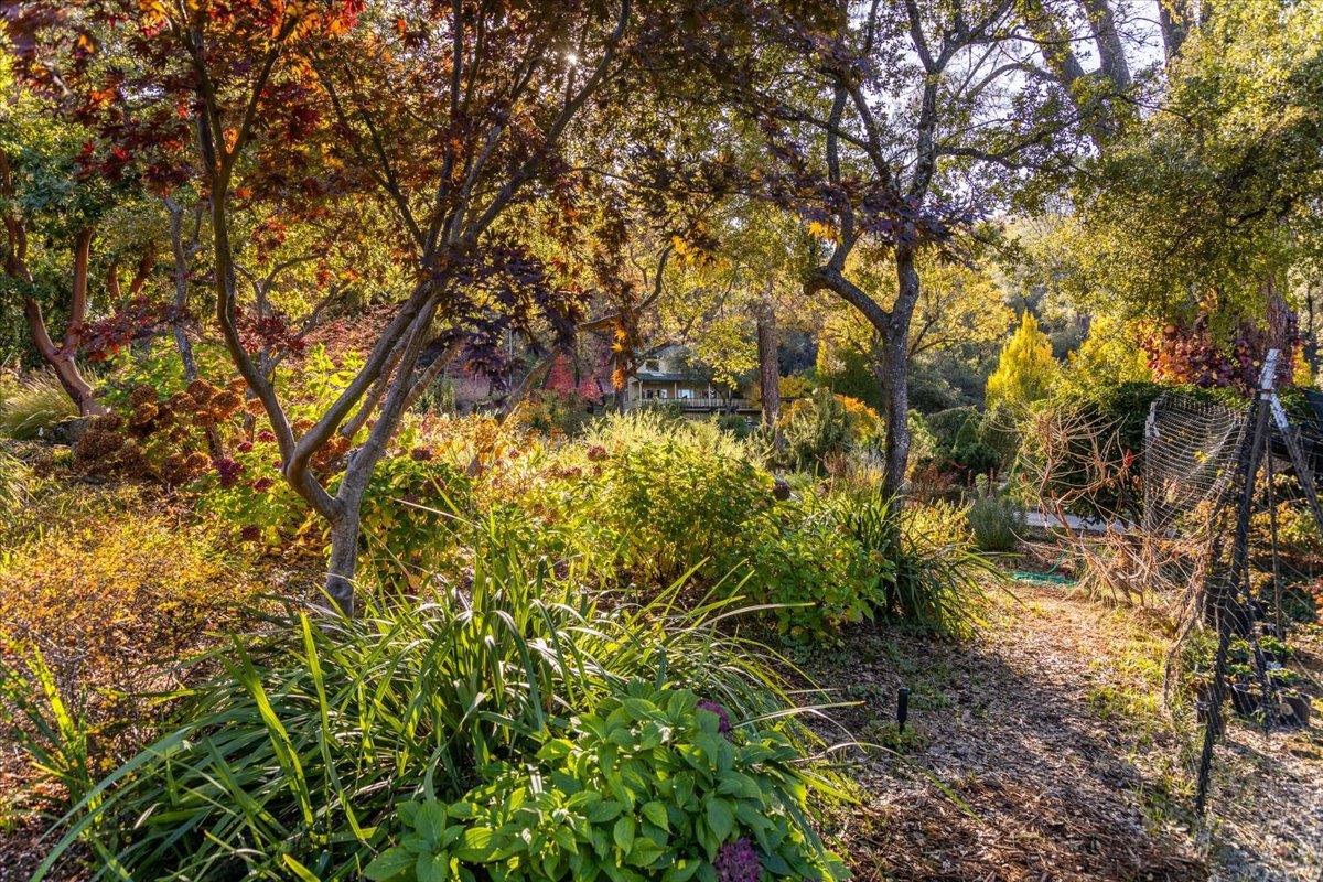 14446 Perimeter Road Grass Valley, CA 95949 - Photo 17 of 71