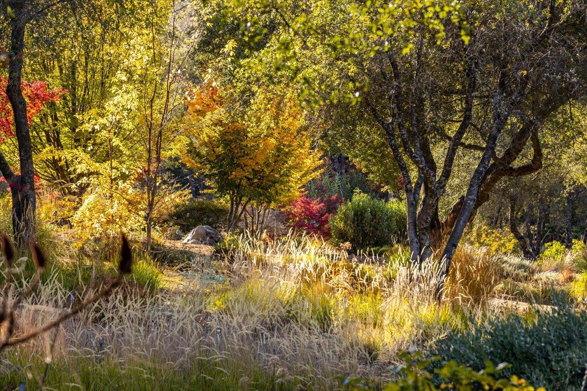 14446 Perimeter Road Grass Valley, CA 95949 - Photo 21 of 71