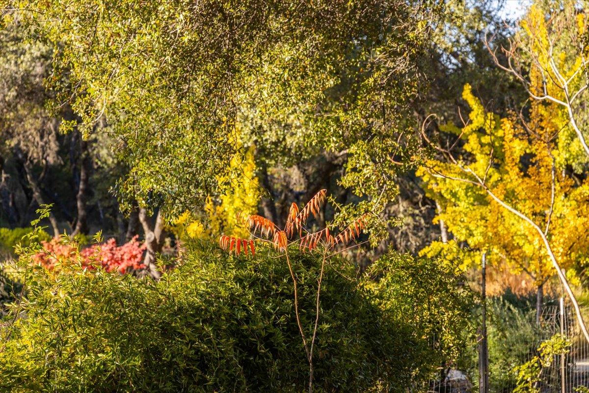 14446 Perimeter Road Grass Valley, CA 95949 - Photo 22 of 71