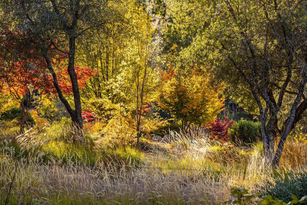 14446 Perimeter Road Grass Valley, CA 95949 - Photo 24 of 71