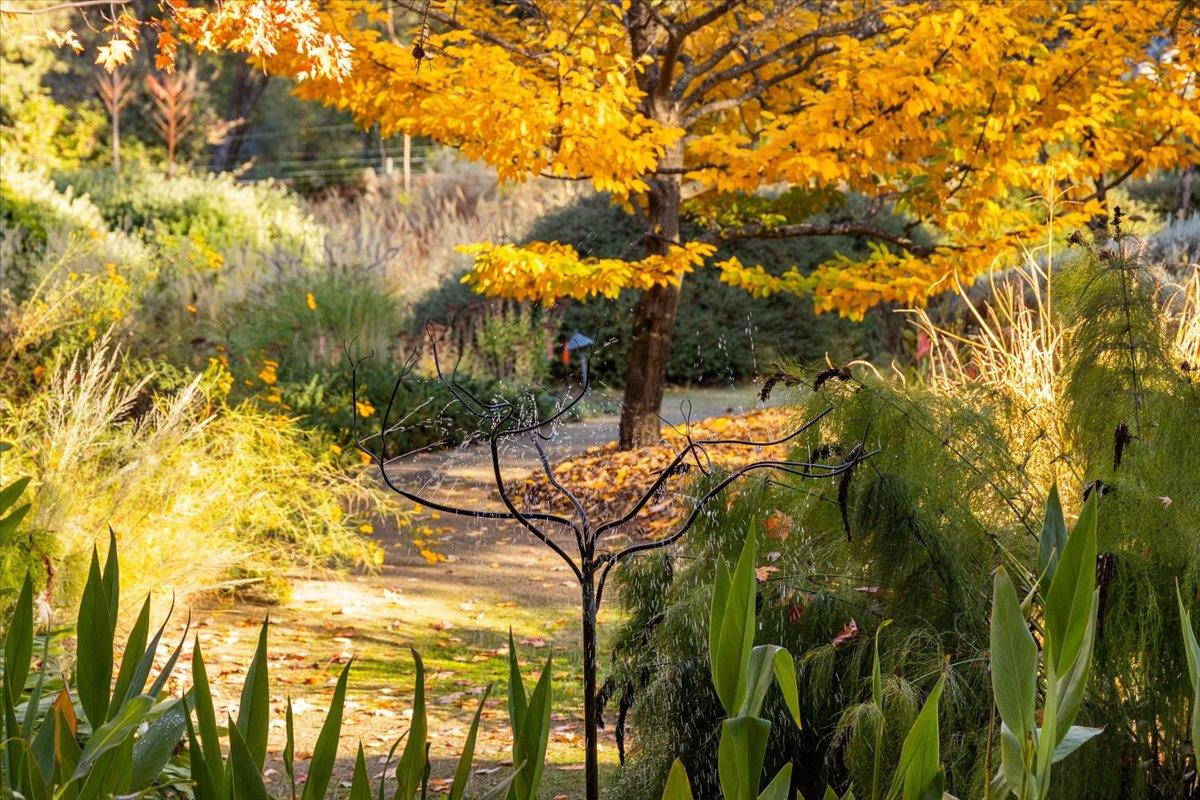 14446 Perimeter Road Grass Valley, CA 95949 - Photo 25 of 71