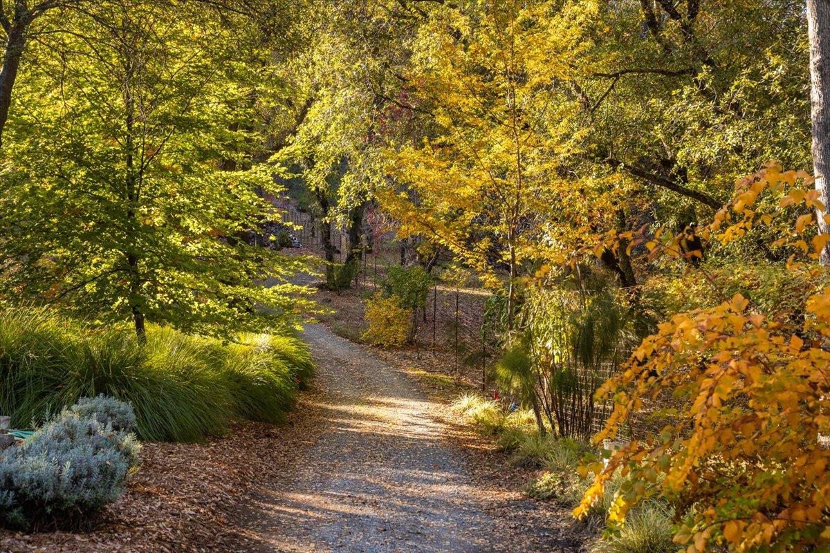 14446 Perimeter Road Grass Valley, CA 95949 - Photo 26 of 71