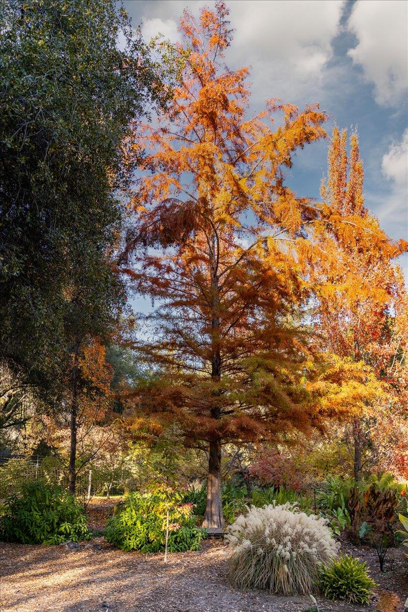 14446 Perimeter Road Grass Valley, CA 95949 - Photo 29 of 71