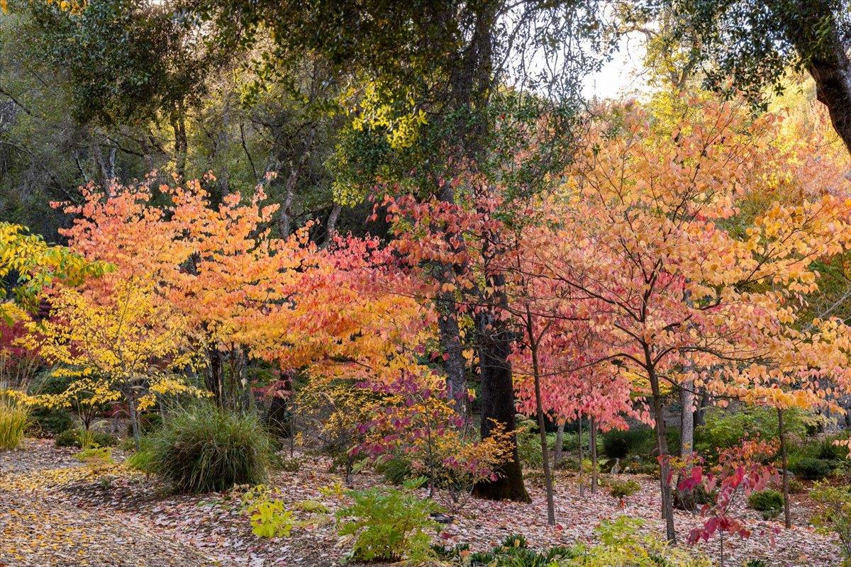 14446 Perimeter Road Grass Valley, CA 95949 - Photo 33 of 71