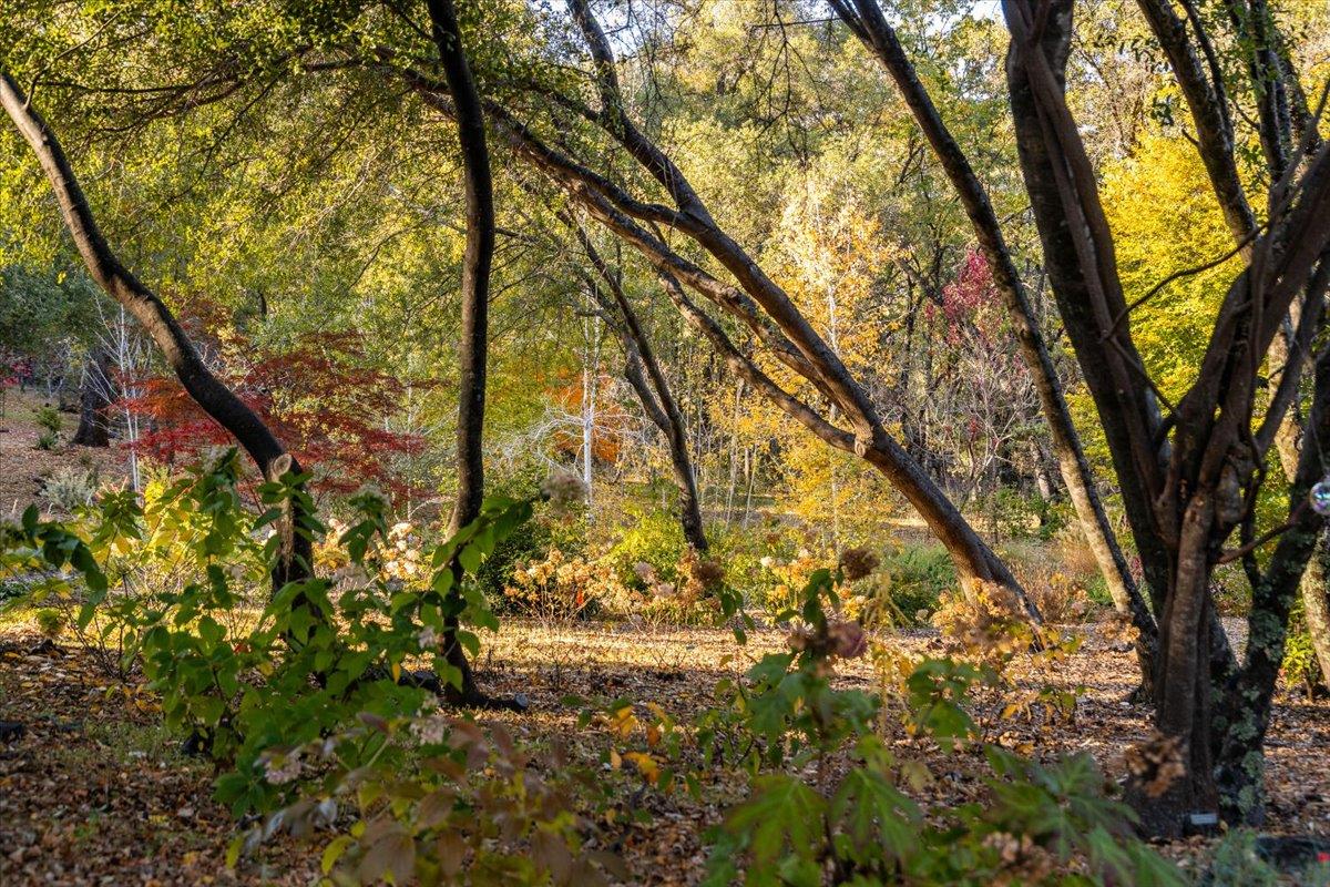 14446 Perimeter Road Grass Valley, CA 95949 - Photo 34 of 71