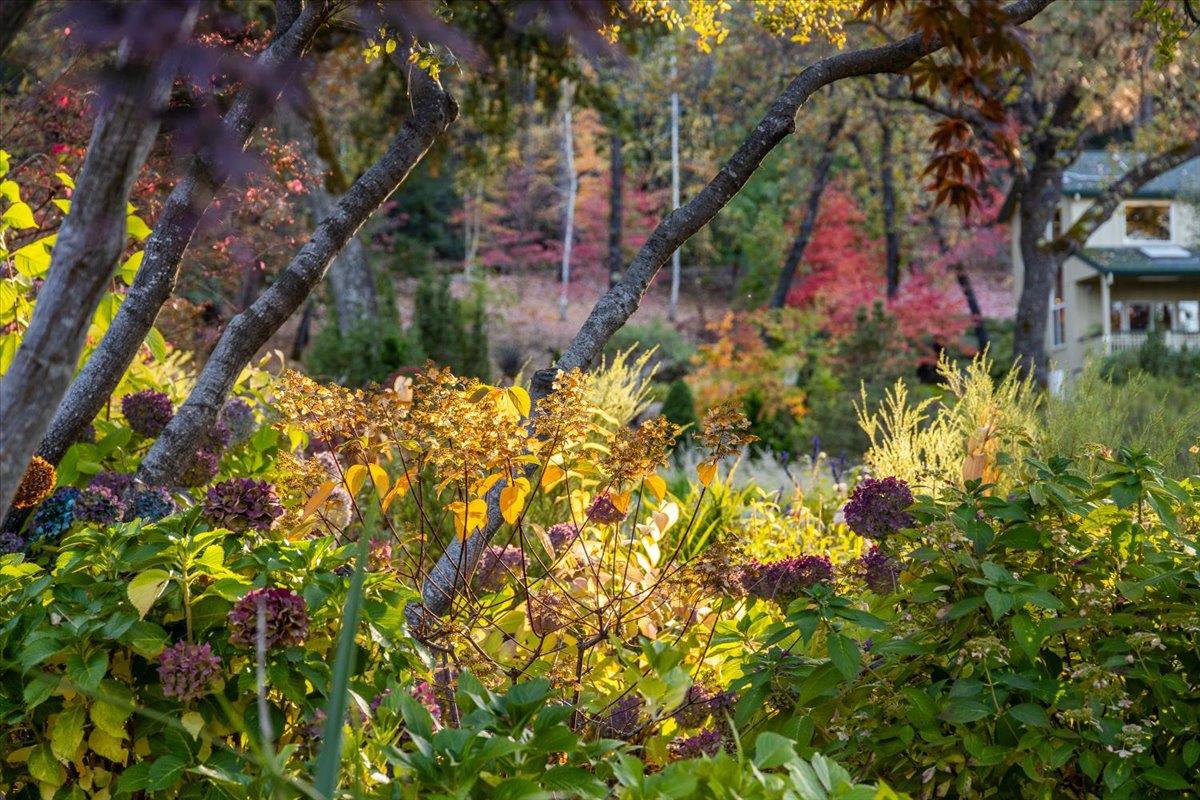 14446 Perimeter Road Grass Valley, CA 95949 - Photo 35 of 71
