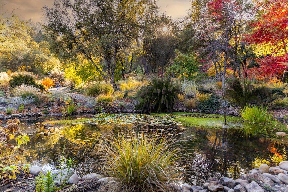 14446 Perimeter Road Grass Valley, CA 95949 - Photo 5 of 71