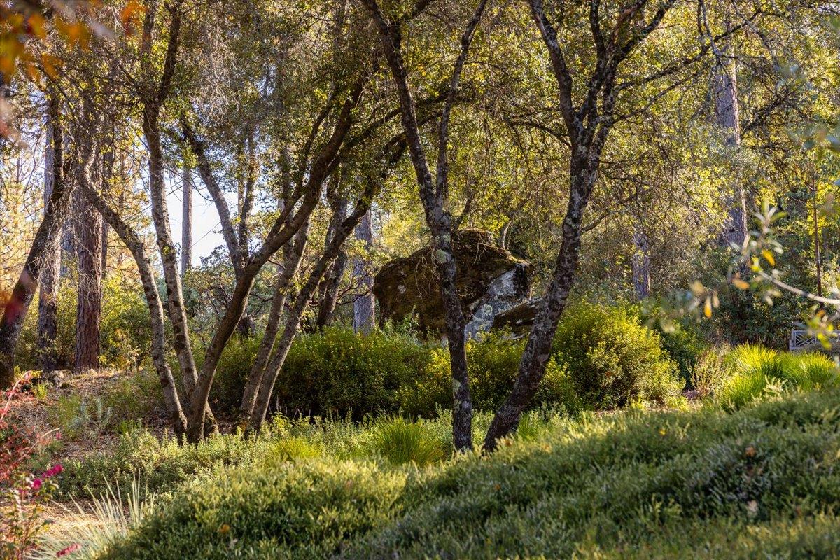 14446 Perimeter Road Grass Valley, CA 95949 - Photo 64 of 71