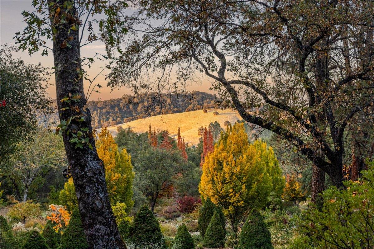 14446 Perimeter Road Grass Valley, CA 95949 - Photo 65 of 71