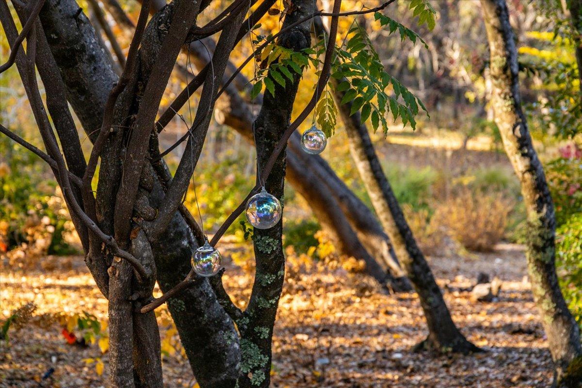 14446 Perimeter Road Grass Valley, CA 95949 - Photo 66 of 71