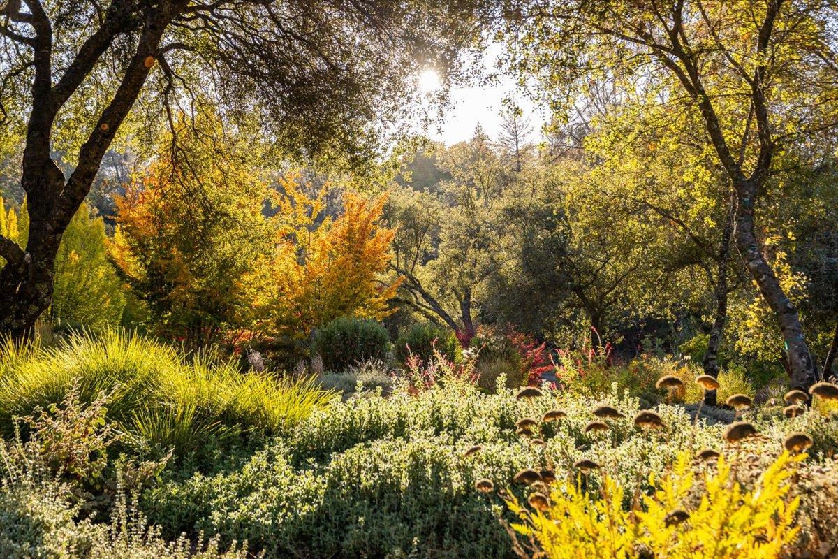 14446 Perimeter Road Grass Valley, CA 95949 - Photo 67 of 71