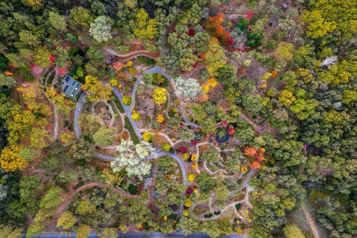 14446 Perimeter Road Grass Valley, CA 95949 - Photo 68 of 71