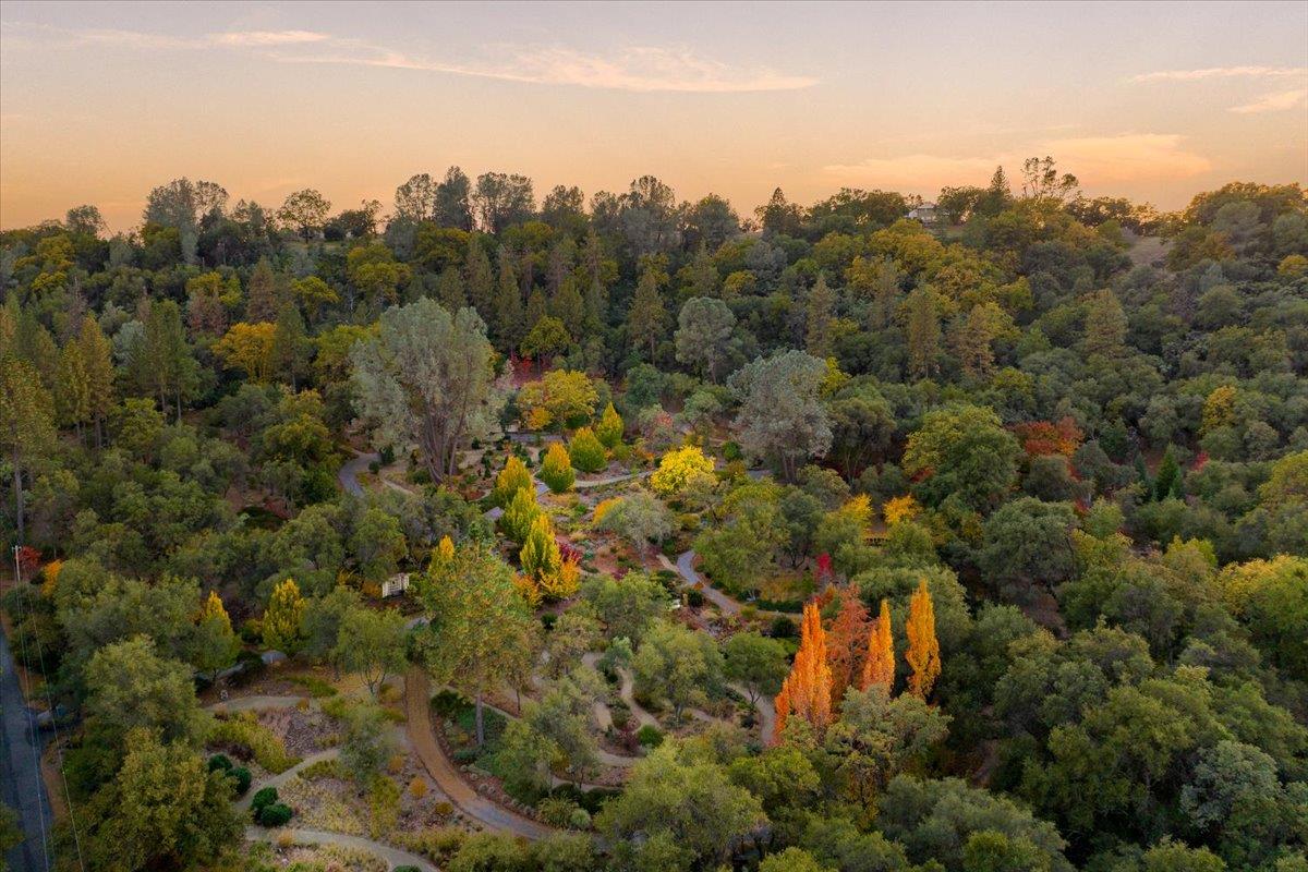 14446 Perimeter Road Grass Valley, CA 95949 - Photo 69 of 71