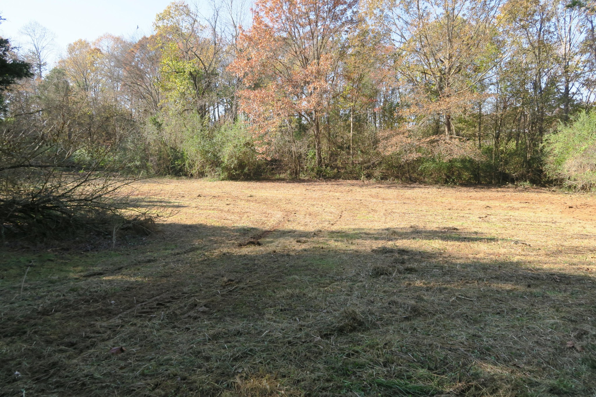 4461 Floyd Lee Road Friendsville, TN 37737 - Photo 19 of 35 Gallery Image 19
