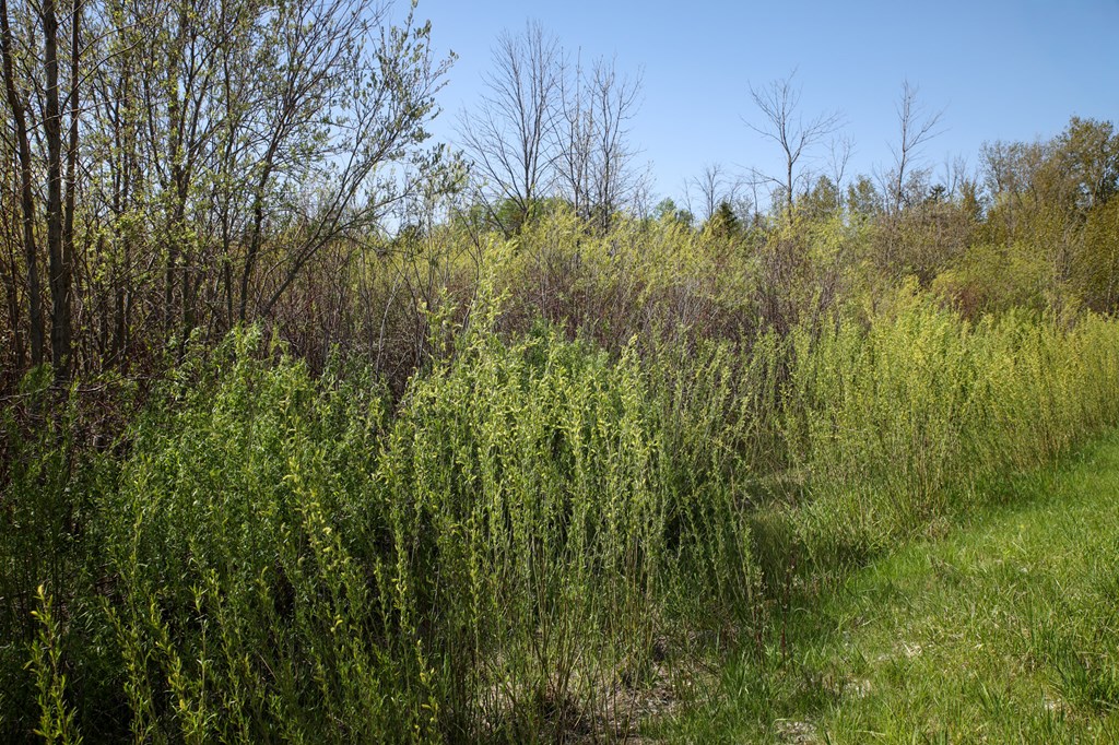 Lot 8 Golf View Road Sturgeon Bay, WI 54235 - Photo 6 of 38