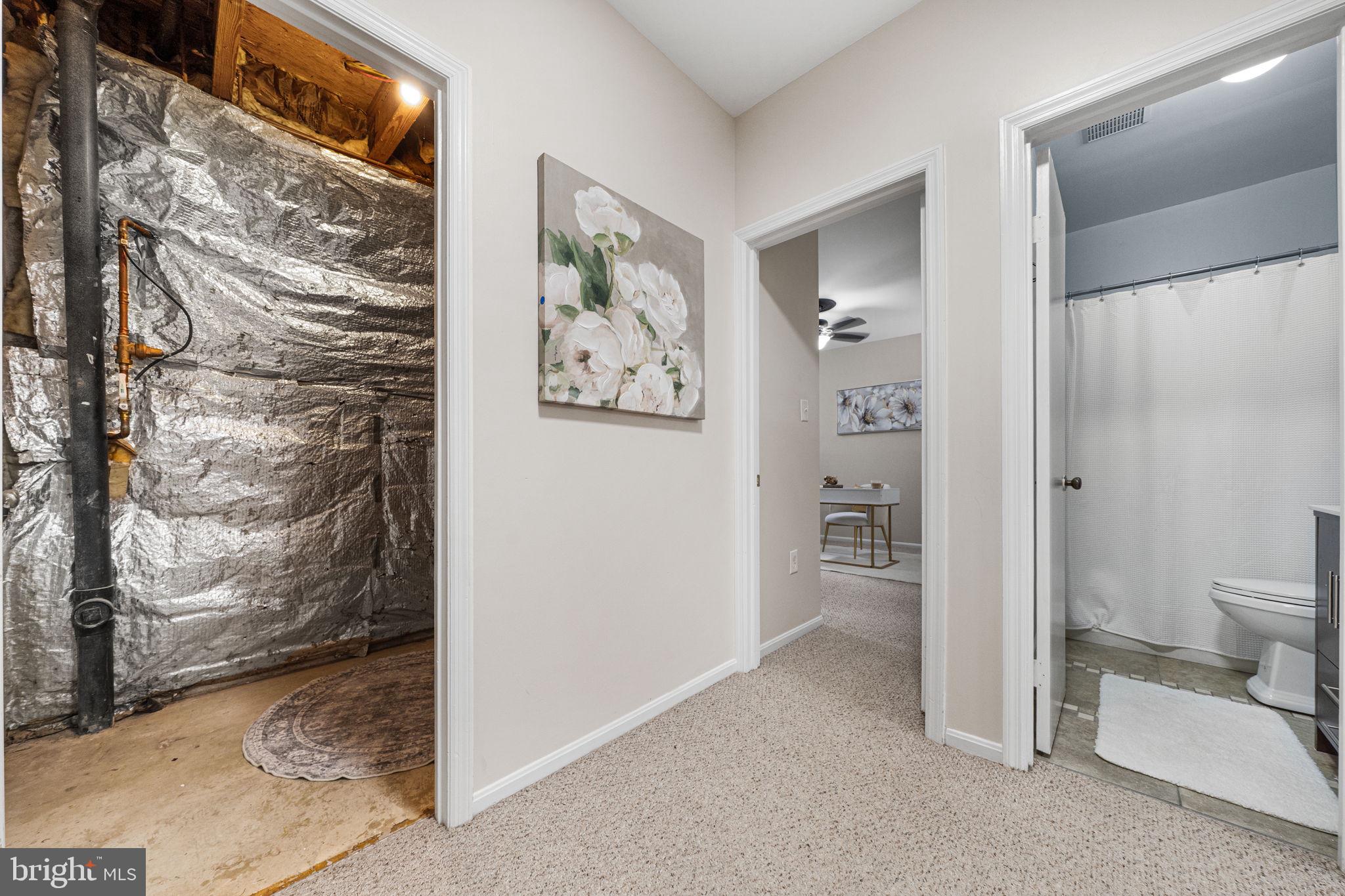 4819 Carriagepark Road Fairfax, VA 22032 - Photo 29 of 74 Lower Level Hallway