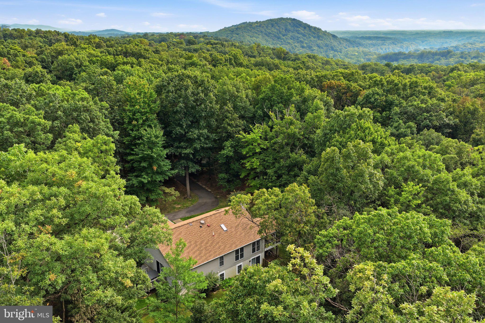 18664 Rivergate Road Keedysville, MD 21756 - Photo 42 of 49 Aerial Back