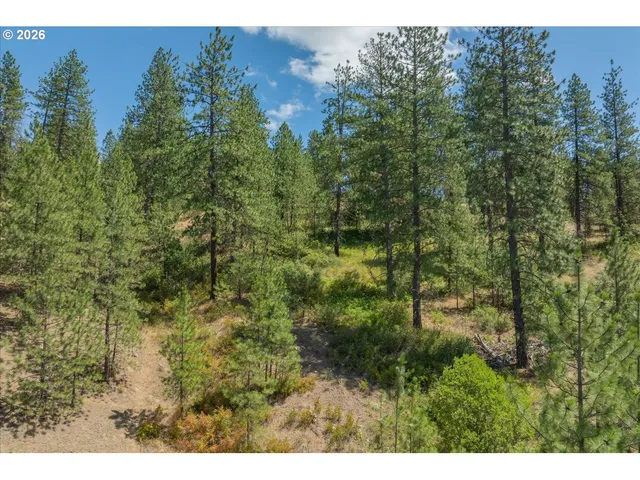a view of an outdoor space and a yard