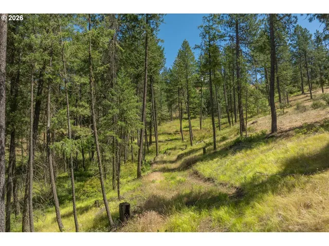a view of a yard with swimming pool