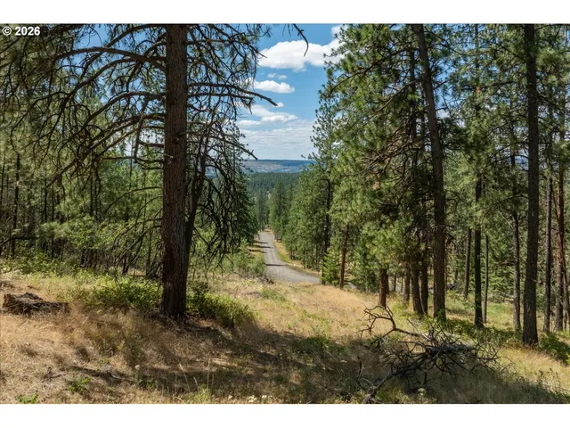 a view of a city with lush green forest