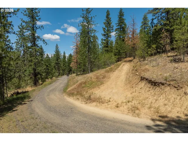 a view of a backyard of a house