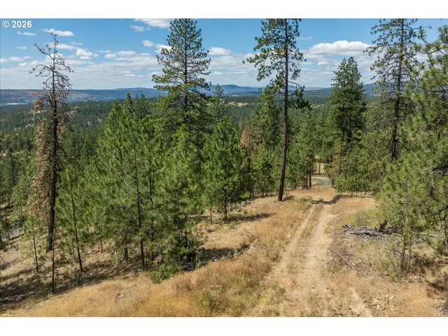a view of a yard in front of a house