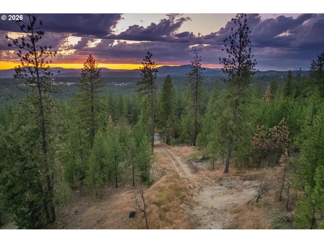a view of an ocean and a mountain