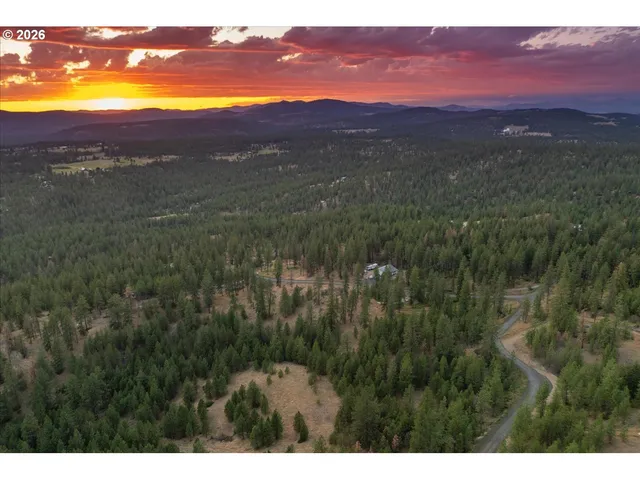a view of a city with an aerial view of residential houses with outdoor space and trees