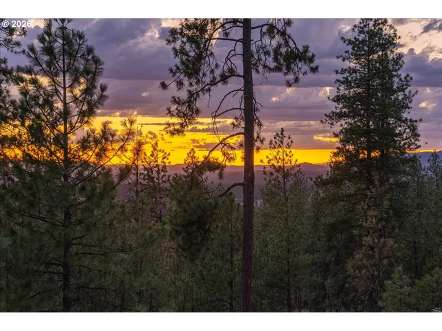 a view of city and mountain