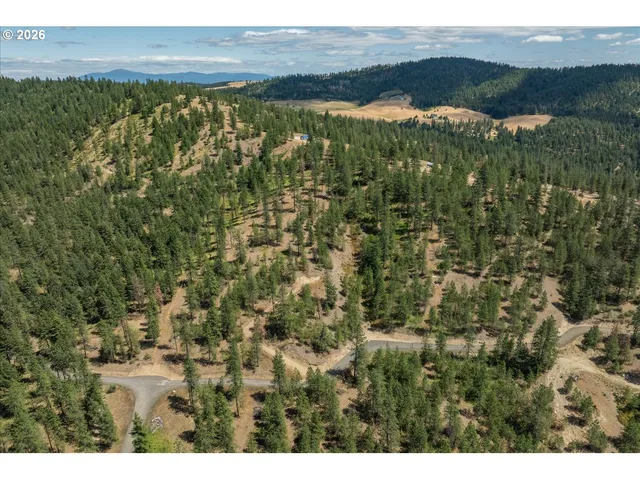a view of a room with a lush green forest