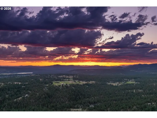 a view of a lake in middle of the forest
