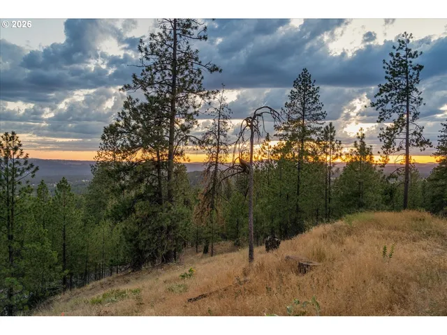 a view of outdoor space and mountain view