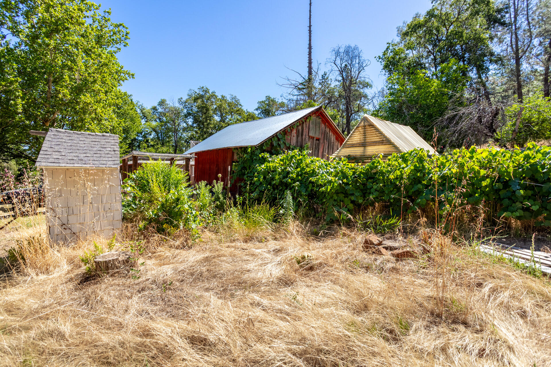 29427 Inwood Road Shingletown, CA 96088 - Photo 29 of 45 IMG_5951-HDR