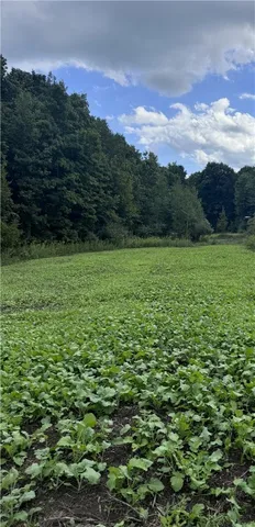 $3,500,000 | Howlett Hill Road, Camillus, NY 13031