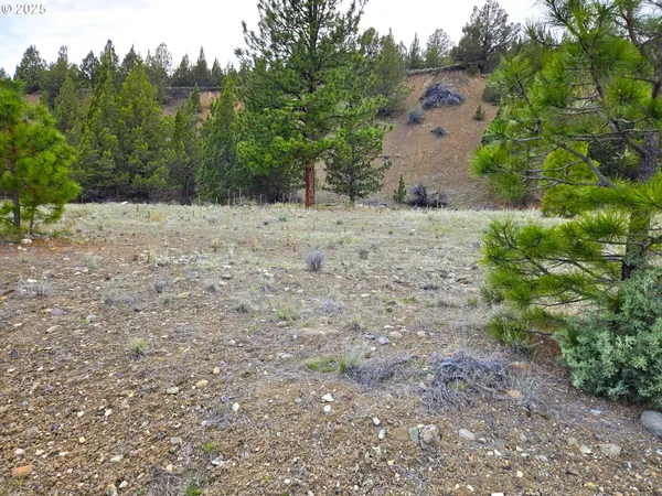 $45,000 | Elkview Drive, Canyon City, OR 97820