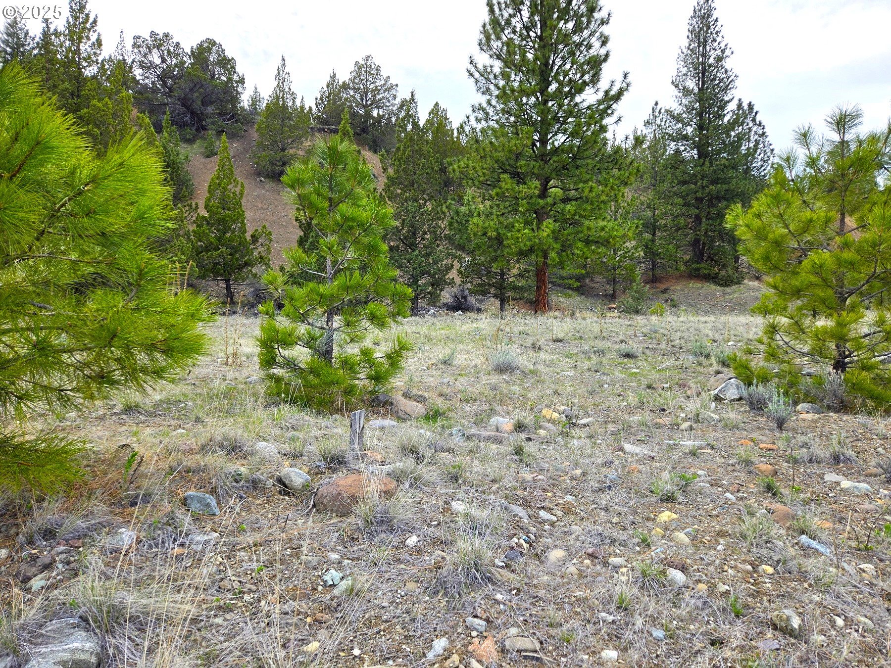 Elkview Drive Canyon City, OR 97820 - Photo 2 of 8