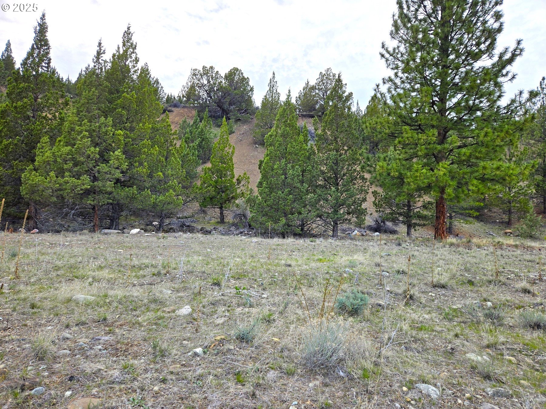 Elkview Drive Canyon City, OR 97820 - Photo 3 of 8