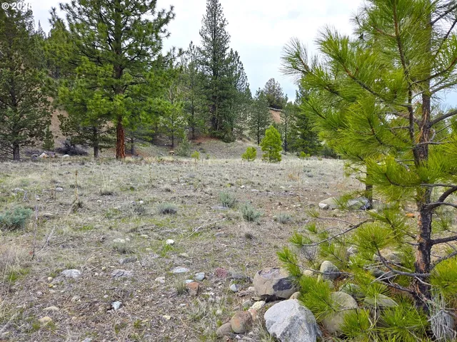 $45,000 | Elkview Drive, Canyon City, OR 97820