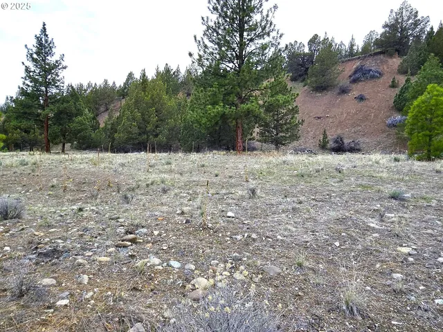 $45,000 | Elkview Drive, Canyon City, OR 97820