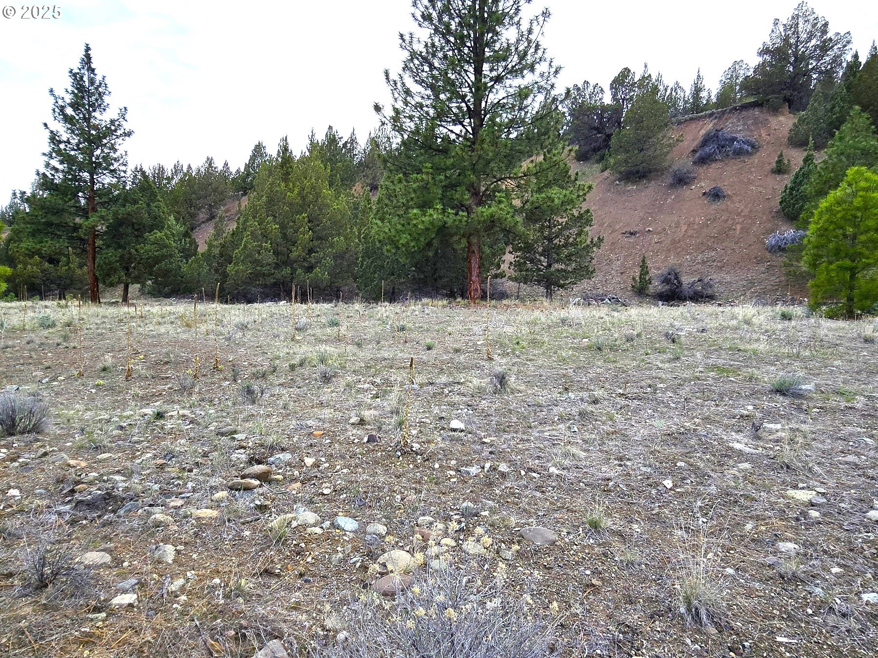 Elkview Drive Canyon City, OR 97820 - Photo 8 of 8