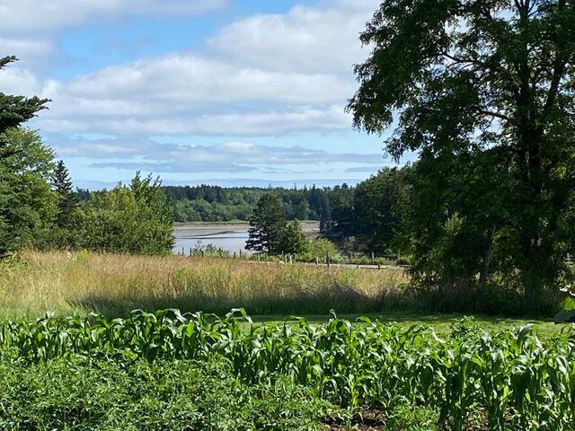 64 Lubec Road Whiting, ME 04691 - Photo 10 of 33 20210712183507431696000000-o